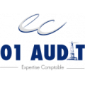 AUDIT 01